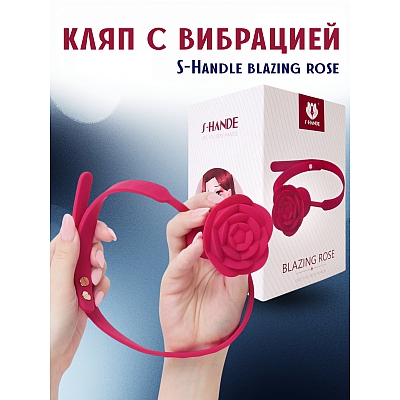 Кляп с вибрацией