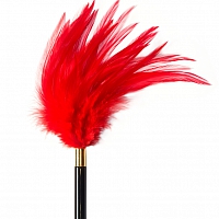 Тиклер Burlesque Plume Red