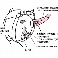 Пояс с 2 насадками Woman Midi, 7"