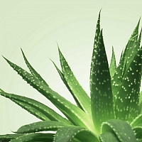 Нуру гель для массажа Mixgliss Aloe Vera, 150мл
