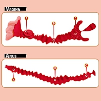 Мастурбатор-полуторс анус и вагина с двойным слоем материала и вибрацией Adel Onahole