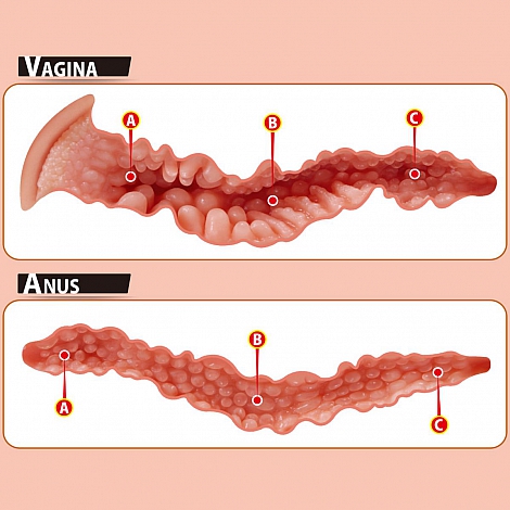 Мастурбатор-полуторс вагина и анус Onahole