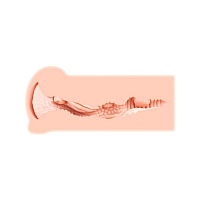 Мастурбатор вагина без вибрации Haru от Kokos