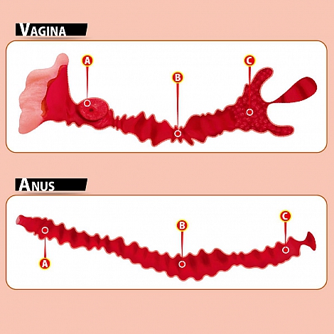 Мастурбатор-полуторс анус и вагина с двойным слоем материала Adel Real Hips