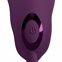 Вибратор для трусиков с пультом Ariva