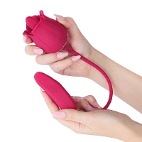 Вибромассажёр Rose Pro 8