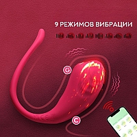 Виброяйцо с приложением