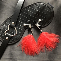 Зажимы для сосков с подвеской из красных перьев марабу