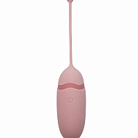 Виброяйцо на пульте управления Love Story Mata Hari pink